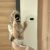 Bursa Escort ŞİRİN -Sizin Eviniz + Otel - Image 1 Bursa Escort ŞİRİN -Sizin Eviniz + Otel - Image 1